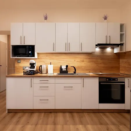 Aparthotel Svitavy סביטאבי