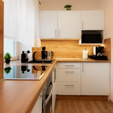Aparthotel Svitavy מלון *