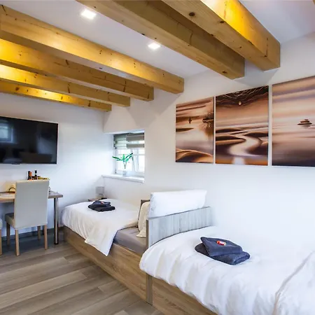 Aparthotel Svitavy * סביטאבי