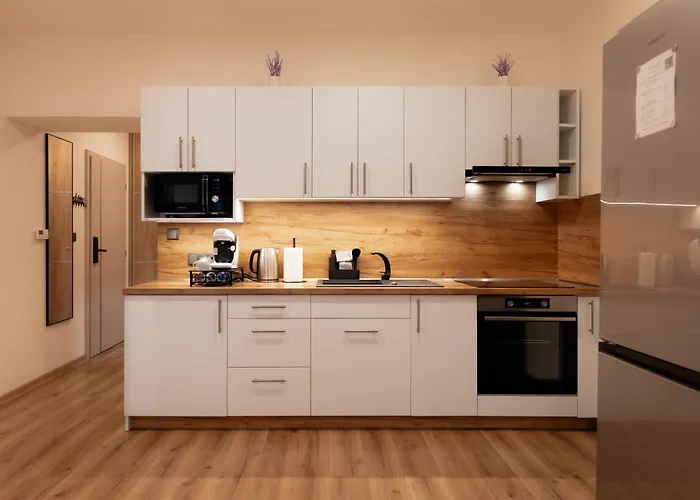 Apart Hotel Svitavy سفيتافي
