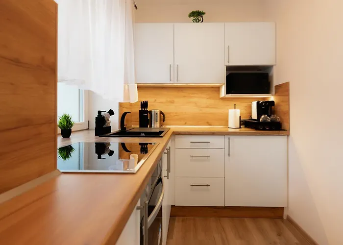 Apart Hotel Svitavy מלון *